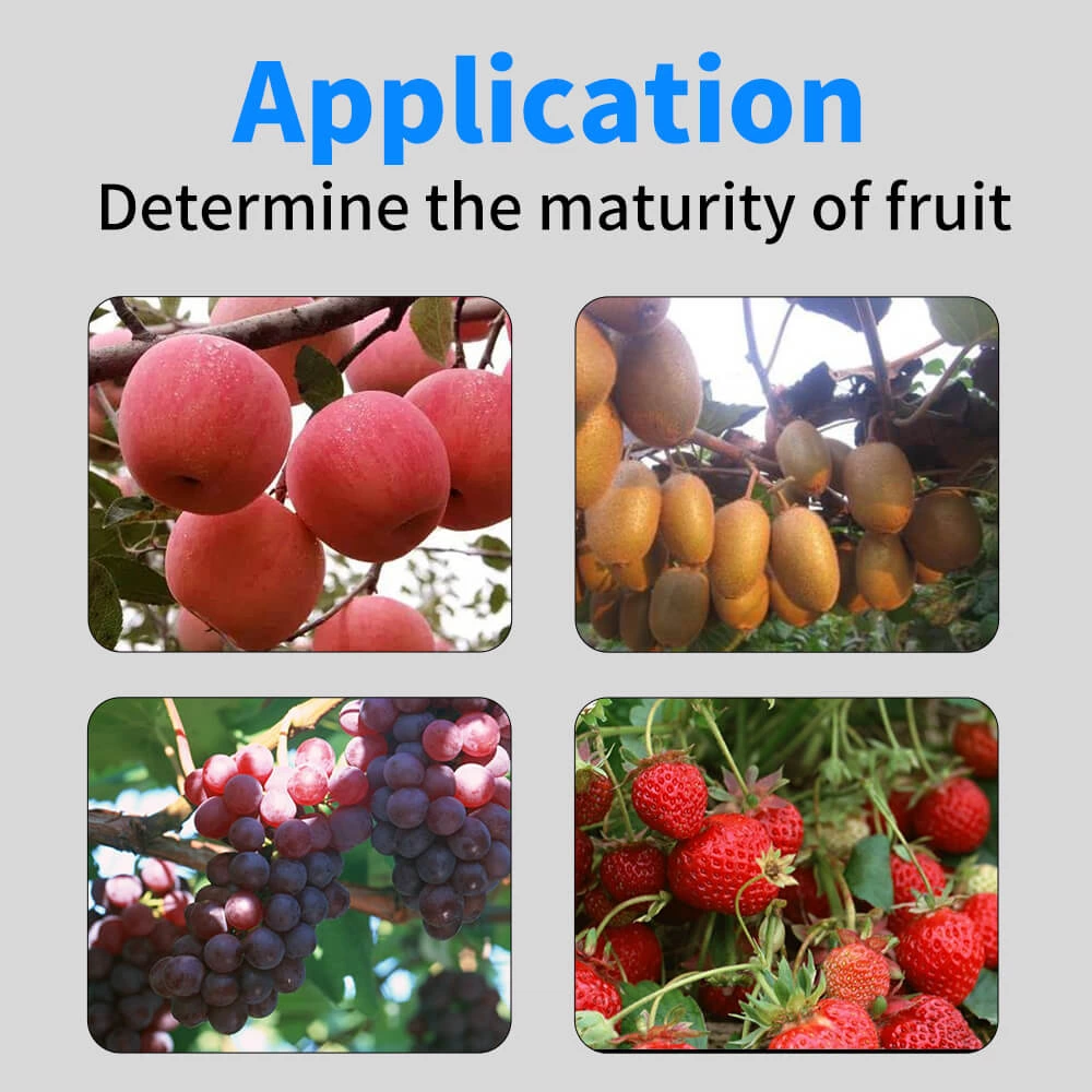GY-M15 Digital Fruit Hardness Tester
