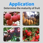 GY-M15 Digital Fruit Hardness Tester